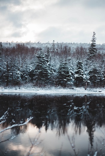a pristine river and pine tree landscape covered in snow as the setting from in the dark fantasy short story
